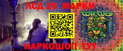 apvp Кандалакша