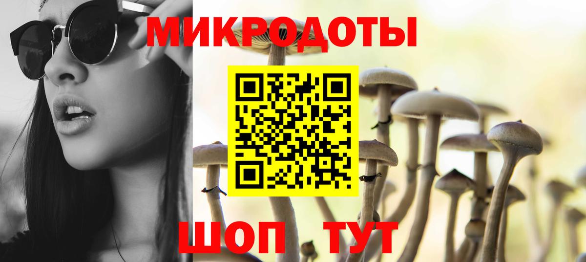 Псилоцибиновые грибы MAGIC MUSHROOMS Тихорецк